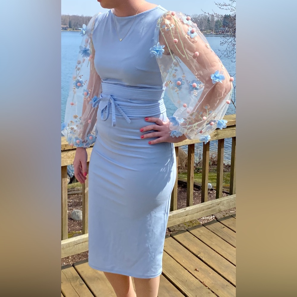 3D Appliqués Mesh Sleeve Corset Belted Pencil Dress